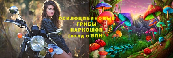 гидра Алексеевка
