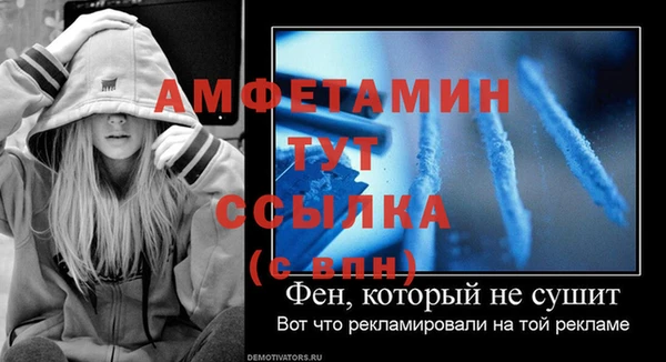 гидра Алексеевка