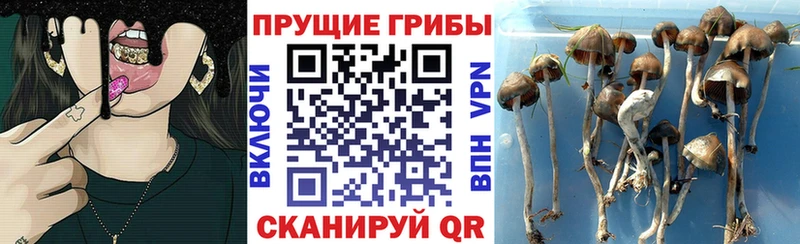 Псилоцибиновые грибы GOLDEN TEACHER  Игра 